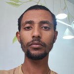 Haileamlak B. Mihretie